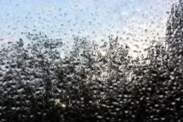 water drops on glass against the sky and trees.