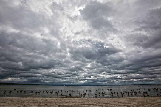 Geese in Lake M&uuml;ritz during the storm
