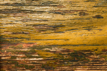 yellow wooden background from which the old paint and varnish peeled off, texture. Old paint peels off wood plank. - obrazy, fototapety, plakaty