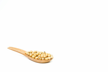 Instant soybean seeds, plants on metal baskets and spoons