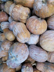 pumpkin, halloween, orange, autumn, pumpkins, fall, harvest, vegetable, food, thanksgiving, squash, farm