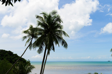 Summer beach in Thailand, blue ocean, sand, and sunshine