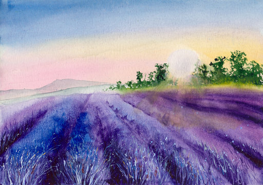  Watercolor picture of purple lavender field in sunset with trees on the horizon