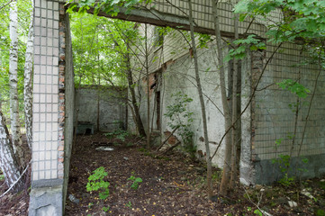 Entrance to the office. Old doghouse near the entrance. Police station.