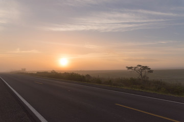 Early morning landscape with sun and fog formation 01