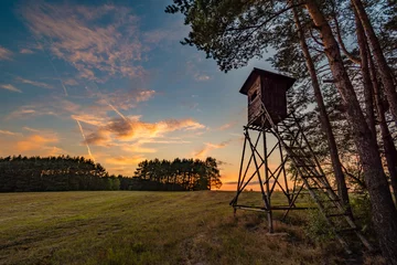Foto op Plexiglas Hertentribune (boomtribune) naast gebied en bos bij zonsonderganglicht, Tsjechische republiek © Jan
