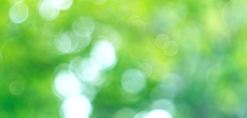 Obraz premium Beautiful nature abstract blurred background. Summer green bokeh backdrop with sun flares