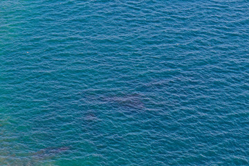 Fototapeta premium Calm waves on the ocean, top view