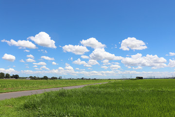 野田市の農業地帯（千葉県）,agricultural zone,noda city,chiba pref,japan
