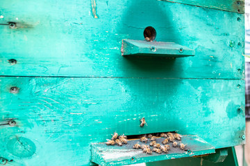 . Wooden beehive and bees. Countryside, beekeeping