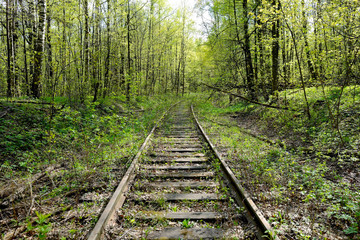 Old rusty rails of an abandoned railway.