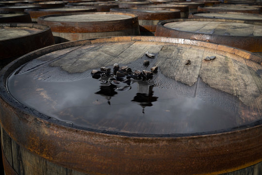 Reflections of the Ardbeg Kilns on a Whisky Barrel