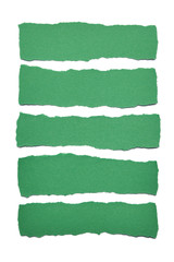 Collection of green paper stripes with torn edges isolated on white background