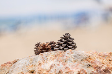 Two pines cone lying on a stone of sea foam on a beautifully blurred background. Abstract background. The concept of peace and tranquility. Horizontal.