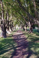 Beautiful lake at a South African wine farm