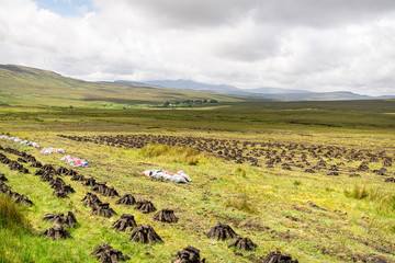 Peat Stacks Drying, Donegal, Ireland
