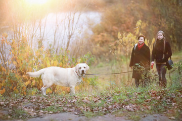 Fototapeta premium Young girl on a walk in the autumn