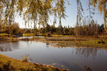 Beautiful lake at a South African wine farm