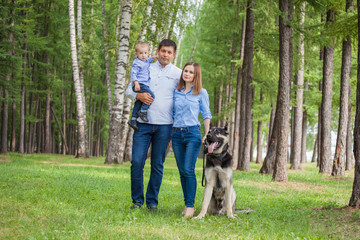 Naklejka na ściany i meble Family walk: mom, dad and son with his dog in the forest. German shepherd is the best friend of the child.