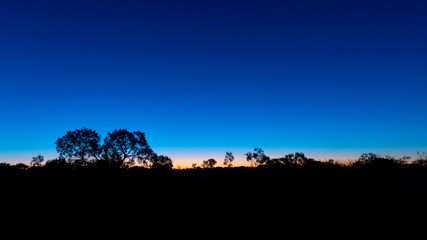 Silhouette of Australian Outback in front against a late sunset sky