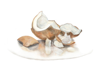 Watercolor illustration. Coconut cut with leaf set watercolor isolated on white background.
