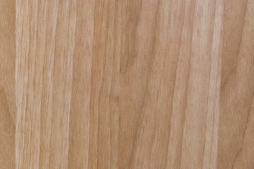 Texture of wood background closeup.