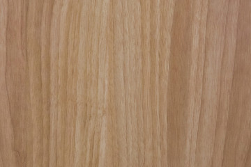 Obraz premium Texture of wood background closeup.