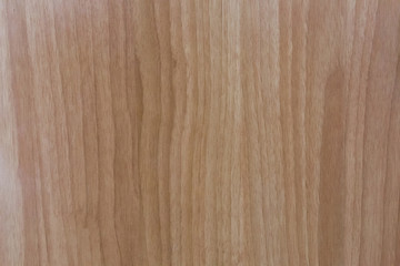 Texture of wood background closeup.