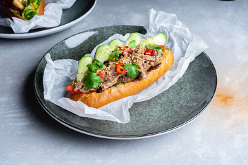 Pan-asian cuisine. traditional banh-mi sandwich with veal meat, parsley, cucumber, chili pepper....