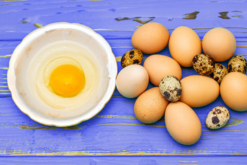 Quail chicken eggs with yolk in a plate on a blue wooden background.