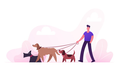 Breeder Male Character Walking with Dogs Team Relaxing in Park. Leisure Communication Love Care of Animals Outdoor Activity. People Spending Time with Pets Outdoors Cartoon Flat Vector Illustration