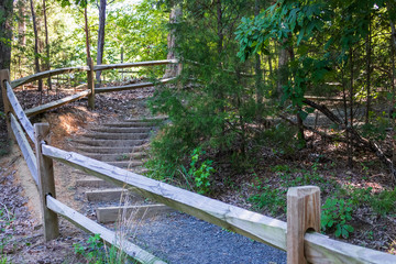 Fototapeta premium Trail Steps