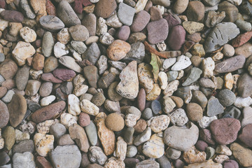 Pebbles or river stone background 