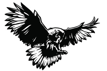 Obraz premium Owl vector illustration. 