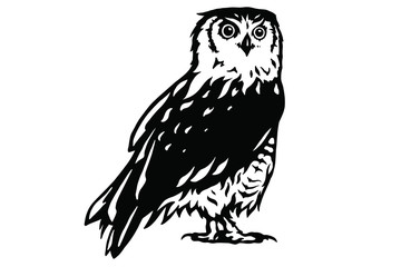 Owl vector illustration. 