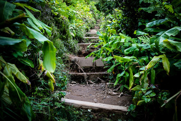 Beschwerlicher Weg mit Stufen