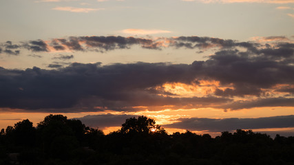 Sun hiding behind the trees