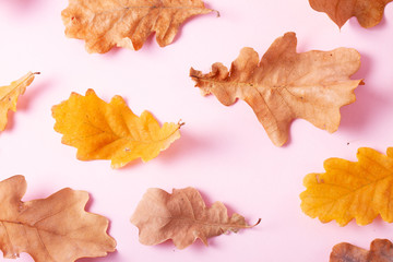 Fototapeta premium Fall leaves autumn background