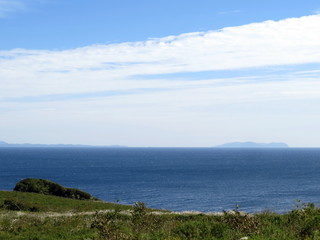 Grass and shrubs on the beach, water and clouds