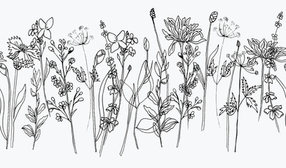 Hand draw ink wildflowers, wallpaper border, pattern white - obrazy, fototapety, plakaty