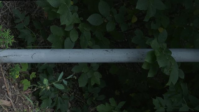 Lonely metal pillar in a dark dense wild forest. Video with calm and phlegmatic/melancholy mood. Tilted video frame-looks good as a background/texture for text and title. Abstract Symmetry Style.
