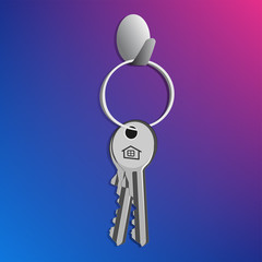 Keys on the hanger, at the door, so as not to forget when you leave the house