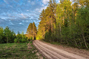 Rural landscape with a dirt road