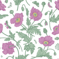 Vintage floral illustration. Seamless pattern. Purple Poppies with butterflies.