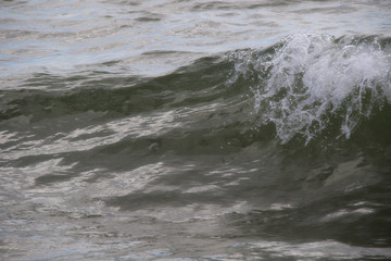 waves on  the beach close up