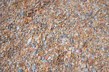 Hintergrund mit Muschelboden