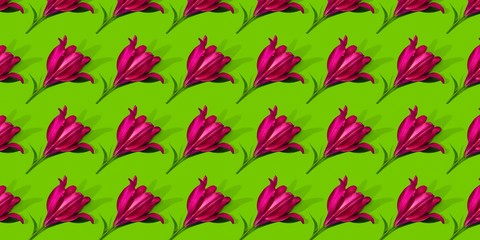 Pink lilies on green background trend flat lay concept with fashionable toning. Many flowers pattern