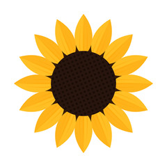 Sunflower icon isolated on white background