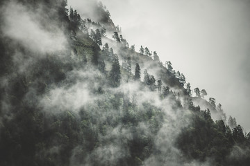 Fototapeta Nebel in den Alpen obraz