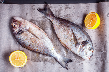 Two raw dorado fish with spices and lemon on cooking paper in oven sheet. Top view
